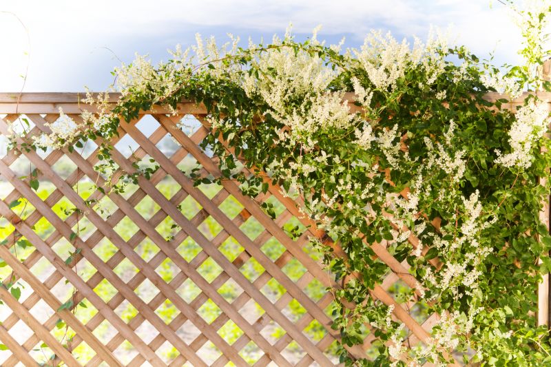 Trellis Construction in Conroe, TX