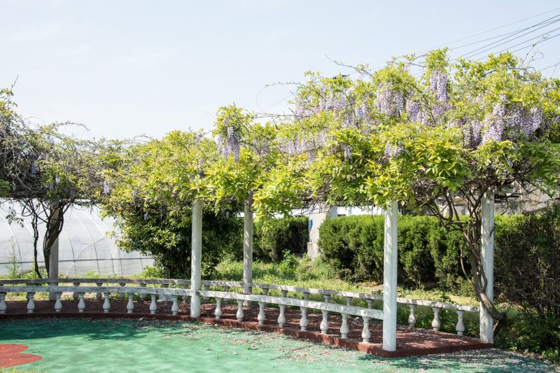 What To Expect During A Commercial Pergola Or Trellis Building Project